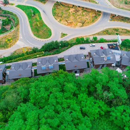 Hotel Peerless Trabzon