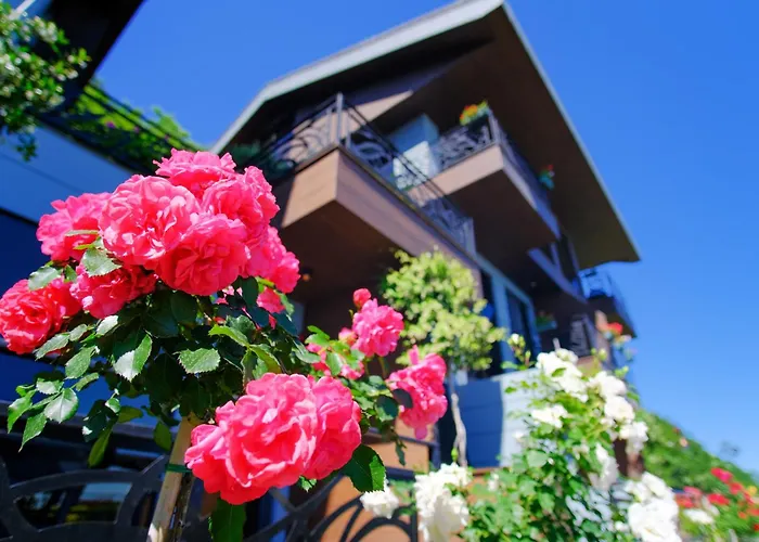 Hotel Peerless Trabzon